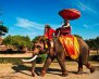 Thailand-Elephants